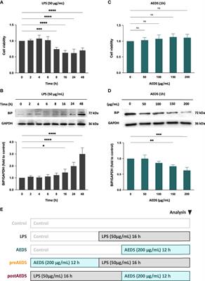 Aqueous Extract of Descuraniae Semen Attenuates Lipopolysaccharide-Induced Inflammation and Apoptosis by Regulating the Proteasomal Degradation and IRE1α-Dependent Unfolded Protein Response in A549 Cells